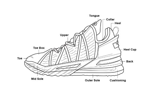 Anatomy of Basketball Shoes