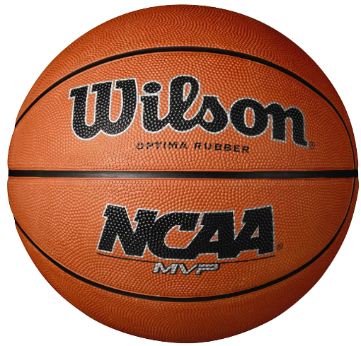 WILSON NCAA Outdoor Basketballs - Best NCA Basketball